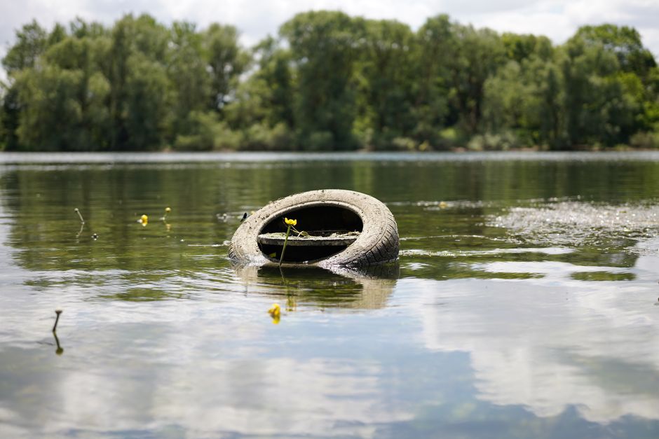 A discarded black rubber tire partially submerged in a calm body of water, with part of it floating on the surface and the rest beneath. Small yellow flowers and green stems are growing through the tire’s openings, indicating natural growth around the object. The background features a dense line of trees with lush green foliage, and the sky overhead appears partly cloudy, casting diffuse light over the scene. The water surface shows slight ripples, and the tire's weathered, slightly textured surface contrasts with the smooth water and the surrounding organic environment. This image highlights environmental issues related to waste and pollution, relevant to alternative waste handling and rubbish removal services offered by Waste Collection Ruislip, emphasizing the importance of proper disposal of bulky or unwanted objects.